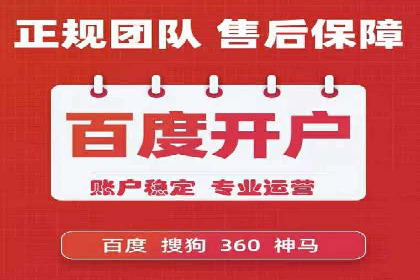 竞价SEM案例分享：行业霸主崛起之路